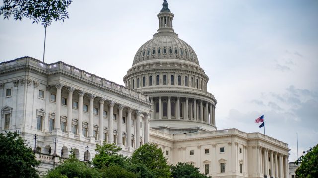 Senator Gillibrand Calls for Trump Meme Coin Ban Amid $636M Windfall Scrutiny